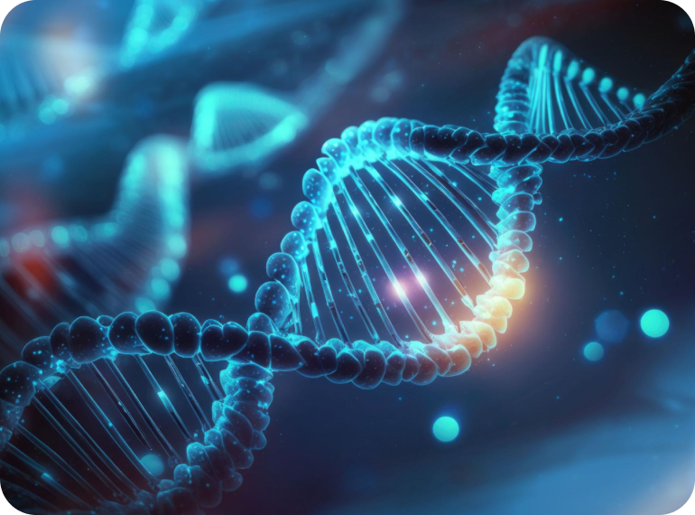 Genetic Risk Factors