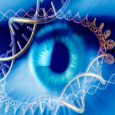 Genetic factors