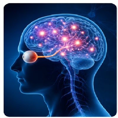 Doctor performing cataract examination
